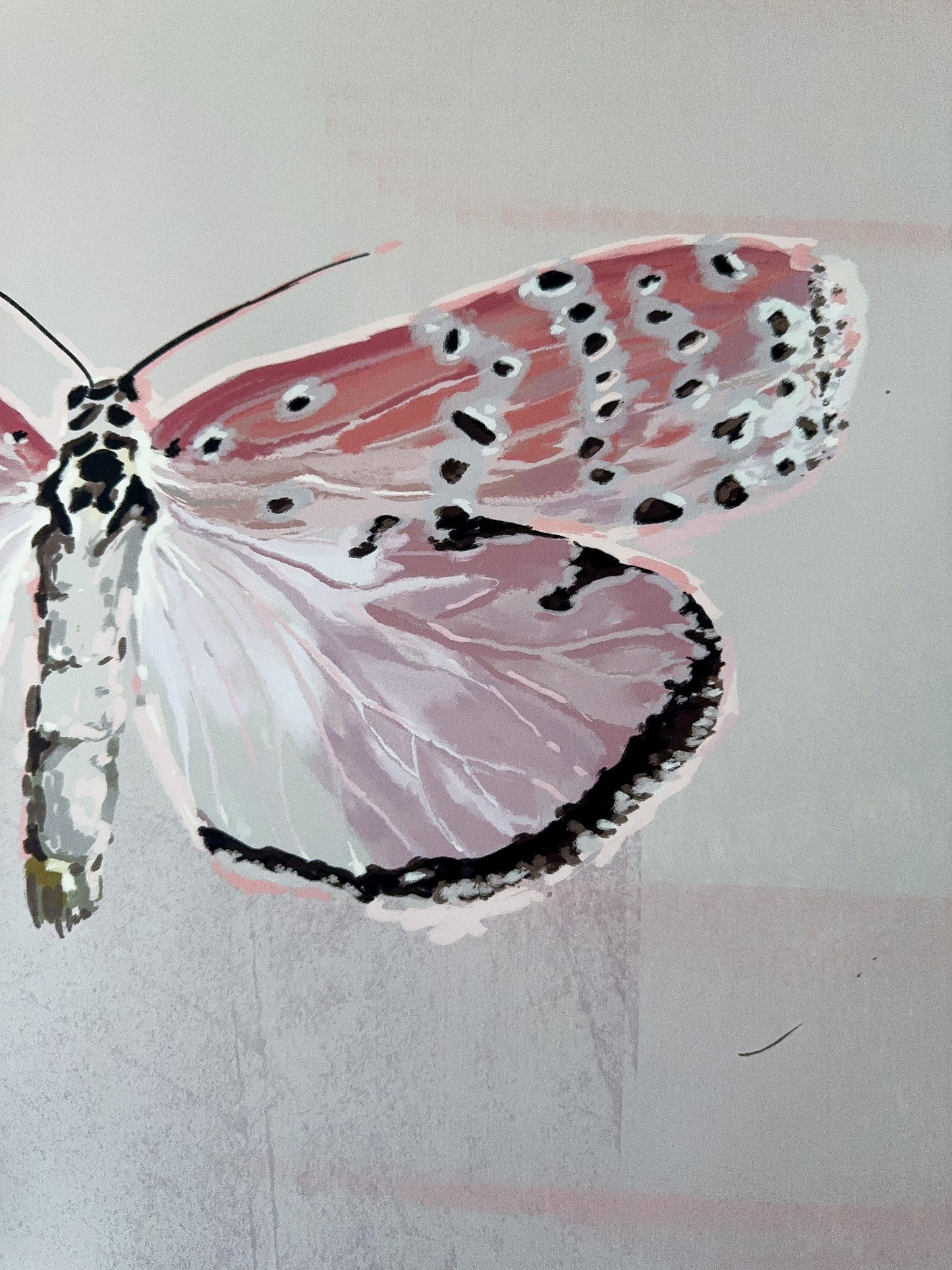 Vintage art print pink butterfly