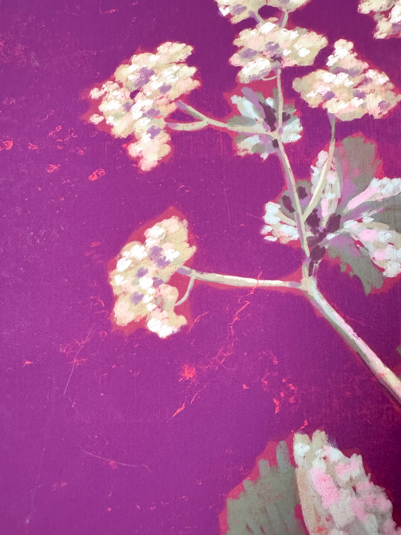 Floral art with a magenta background