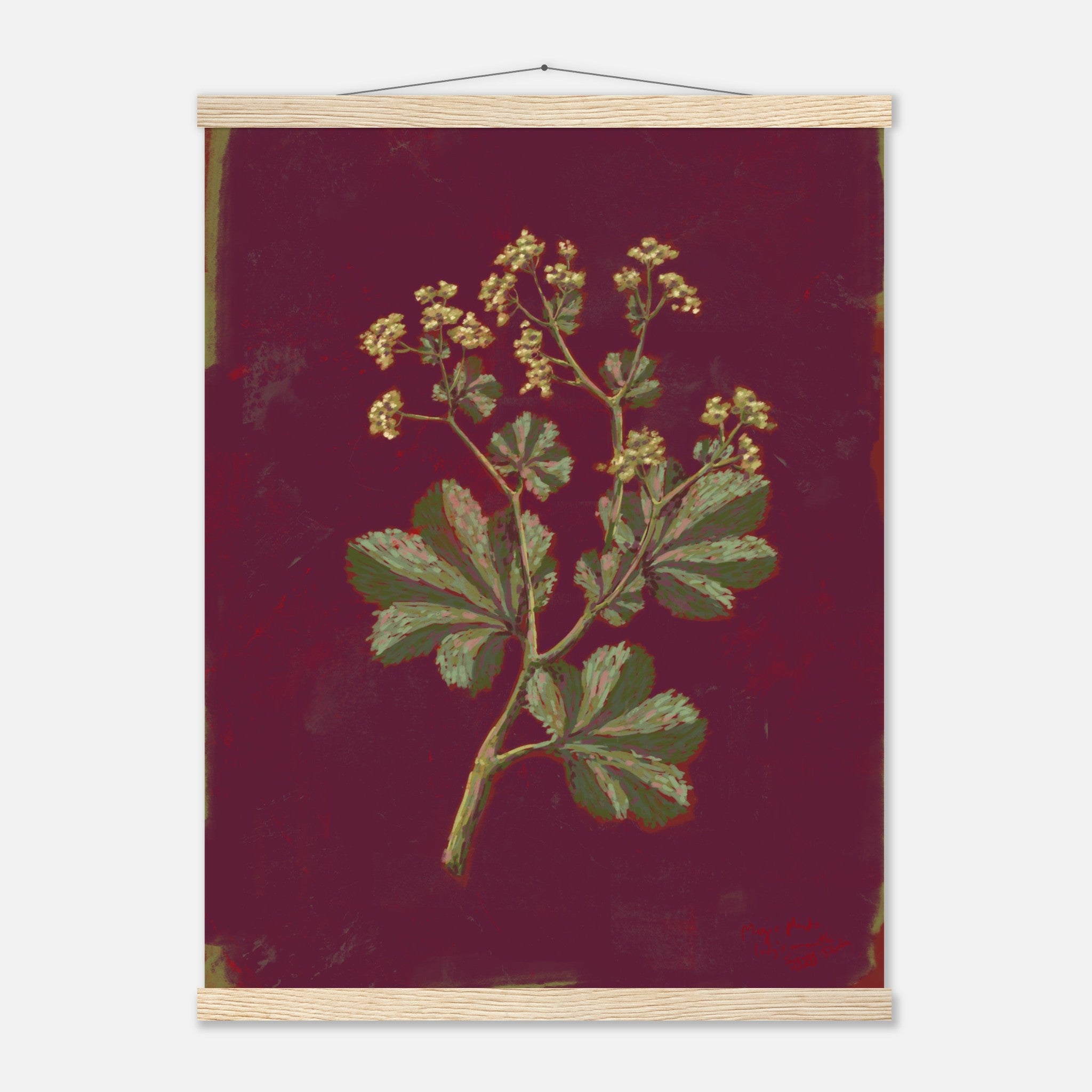 Botanical illustration of a plant with green leaves and yellow flowers on a maroon background, framed in wood.