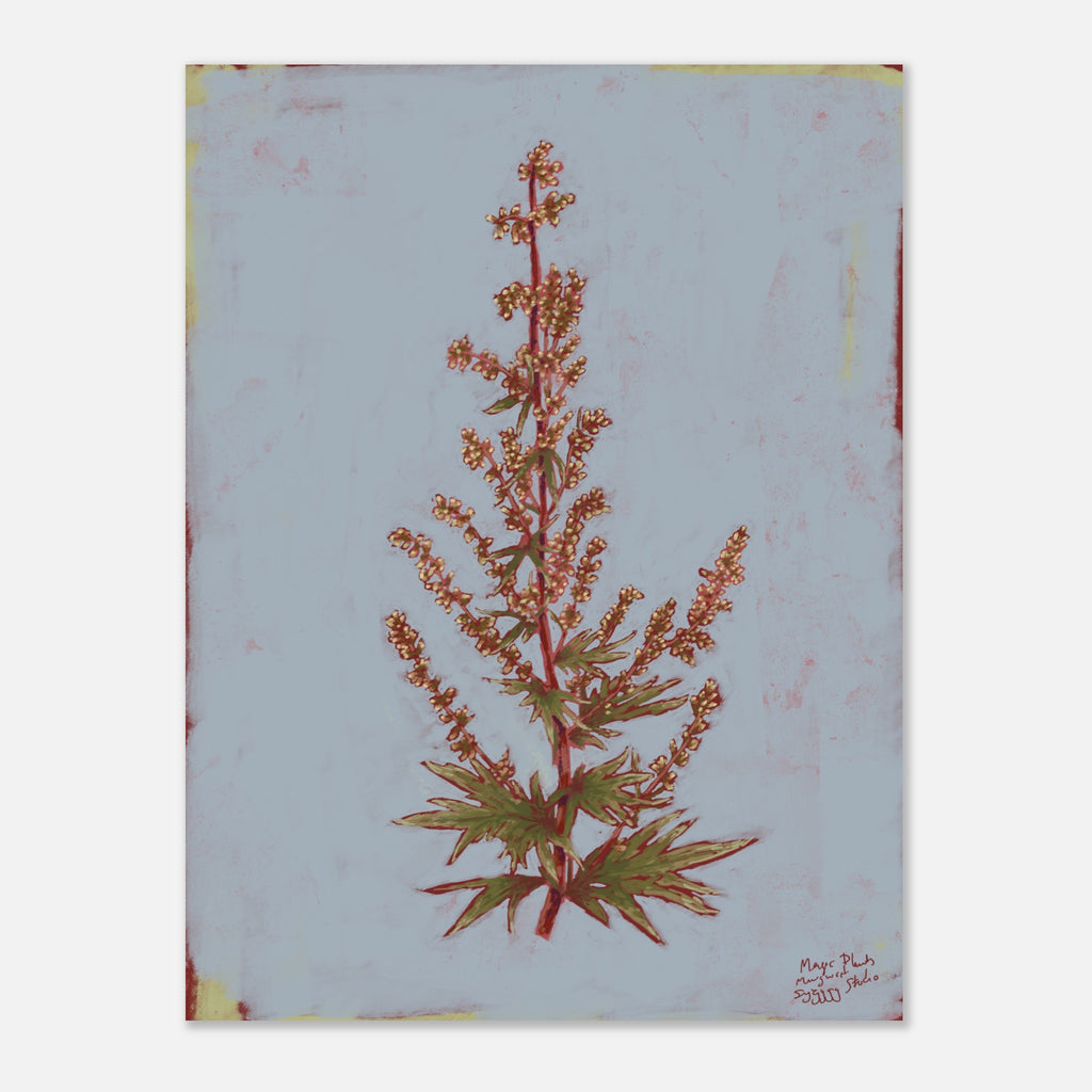 Artistic depiction of a plant with red flowers and green leaves on a textured light blue background.