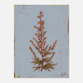 Artistic depiction of a plant with red flowers and green leaves on a textured light blue background.