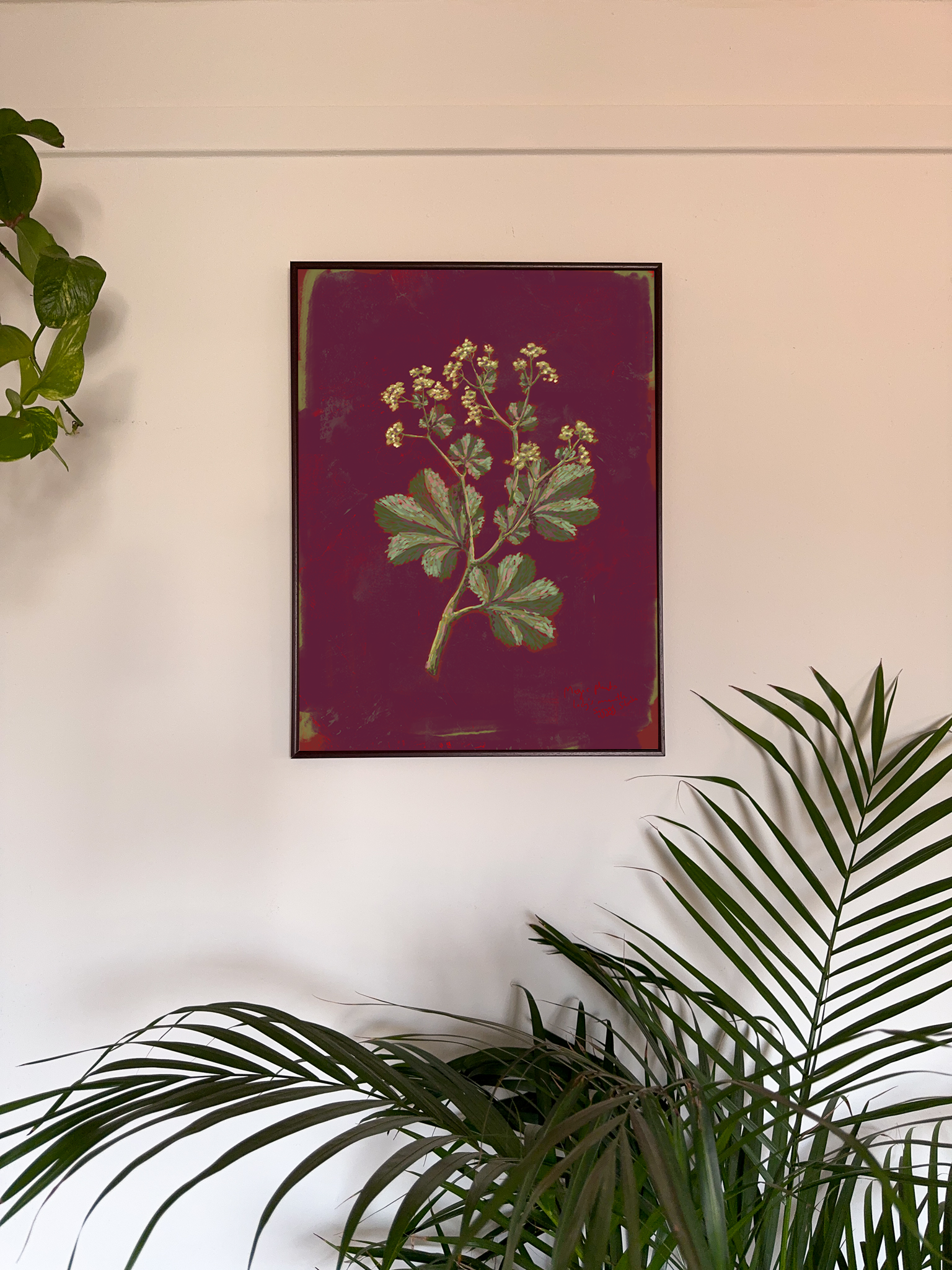 Framed botanical artwork on a wall with plants in the foreground