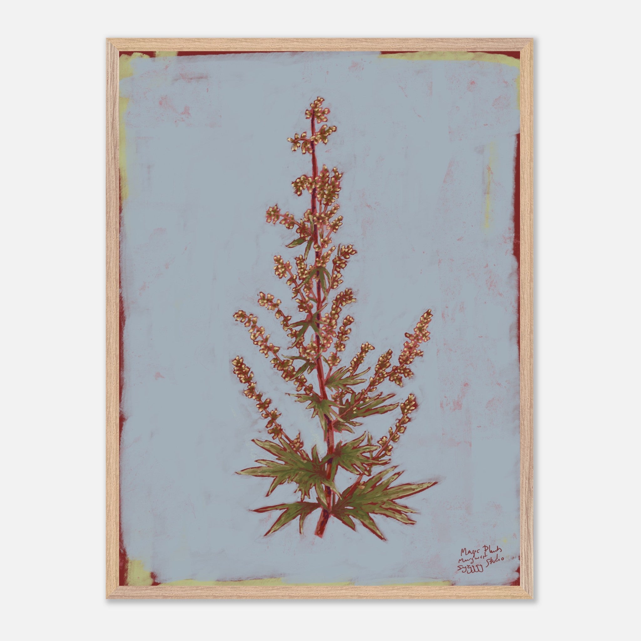 Framed botanical illustration of a plant on a light blue background
