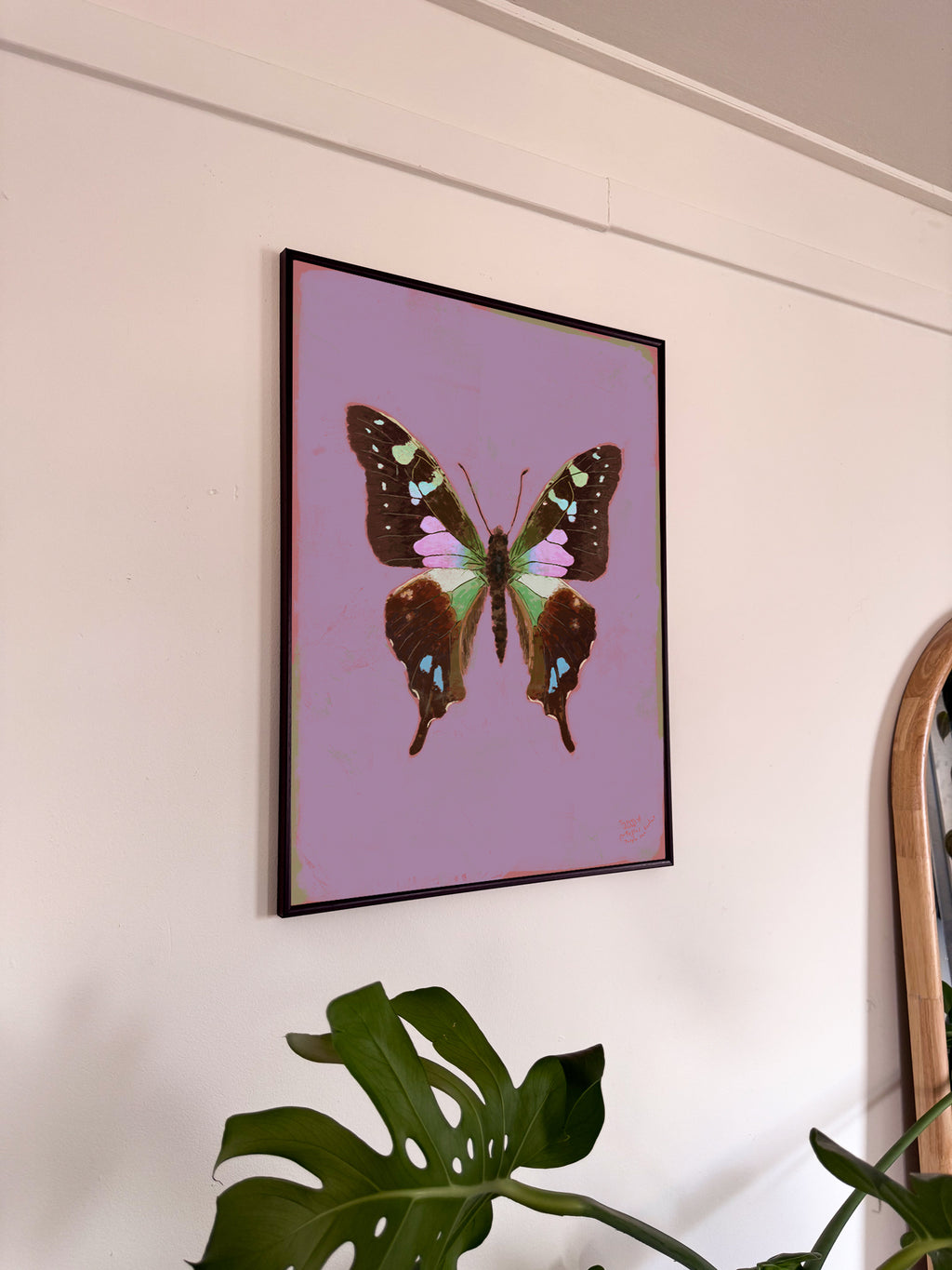 Framed butterfly artwork on a wall with a plant in the foreground