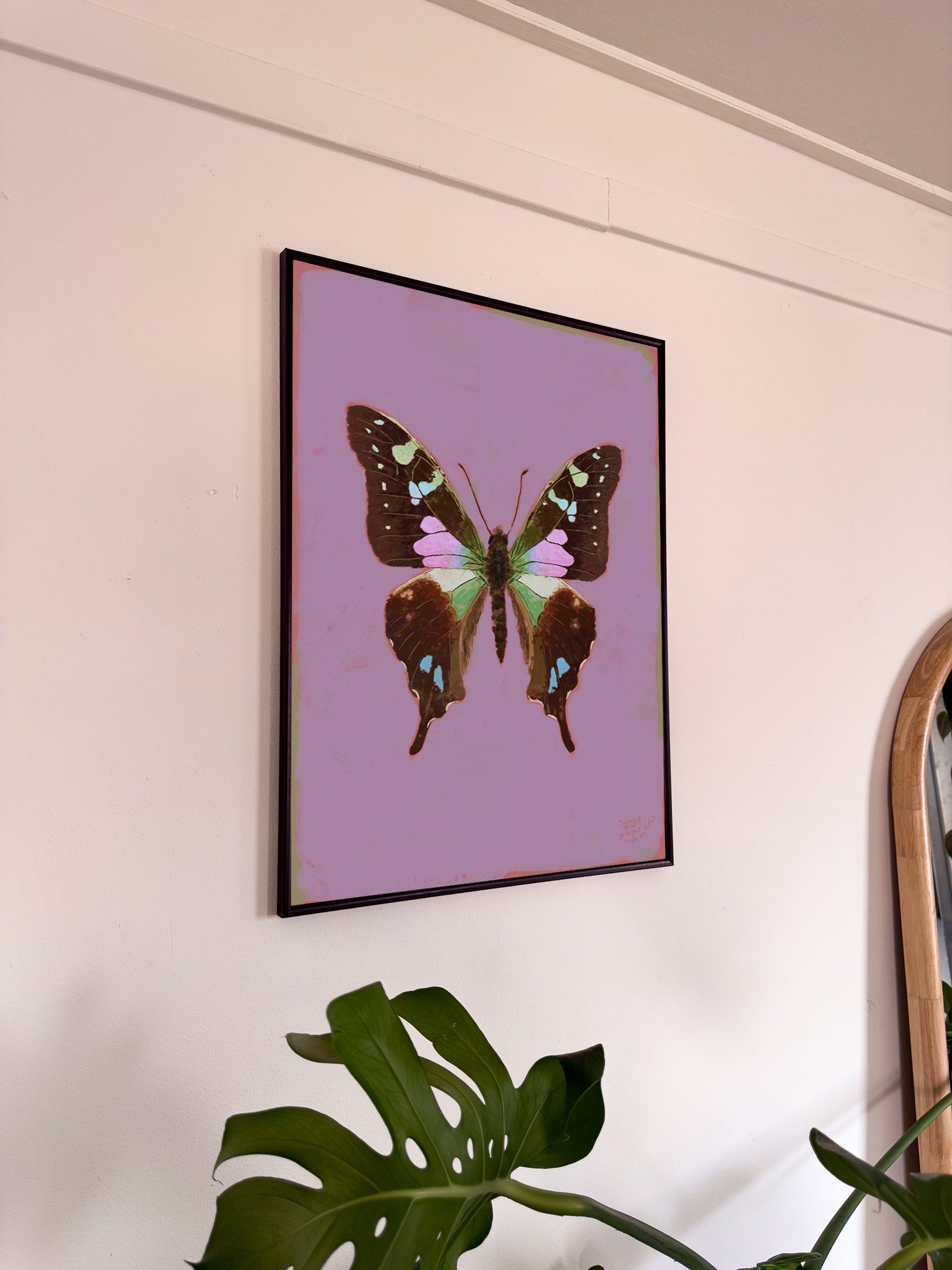 Framed butterfly artwork on a wall with a plant in the foreground