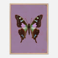 Framed artwork of a butterfly on a purple background