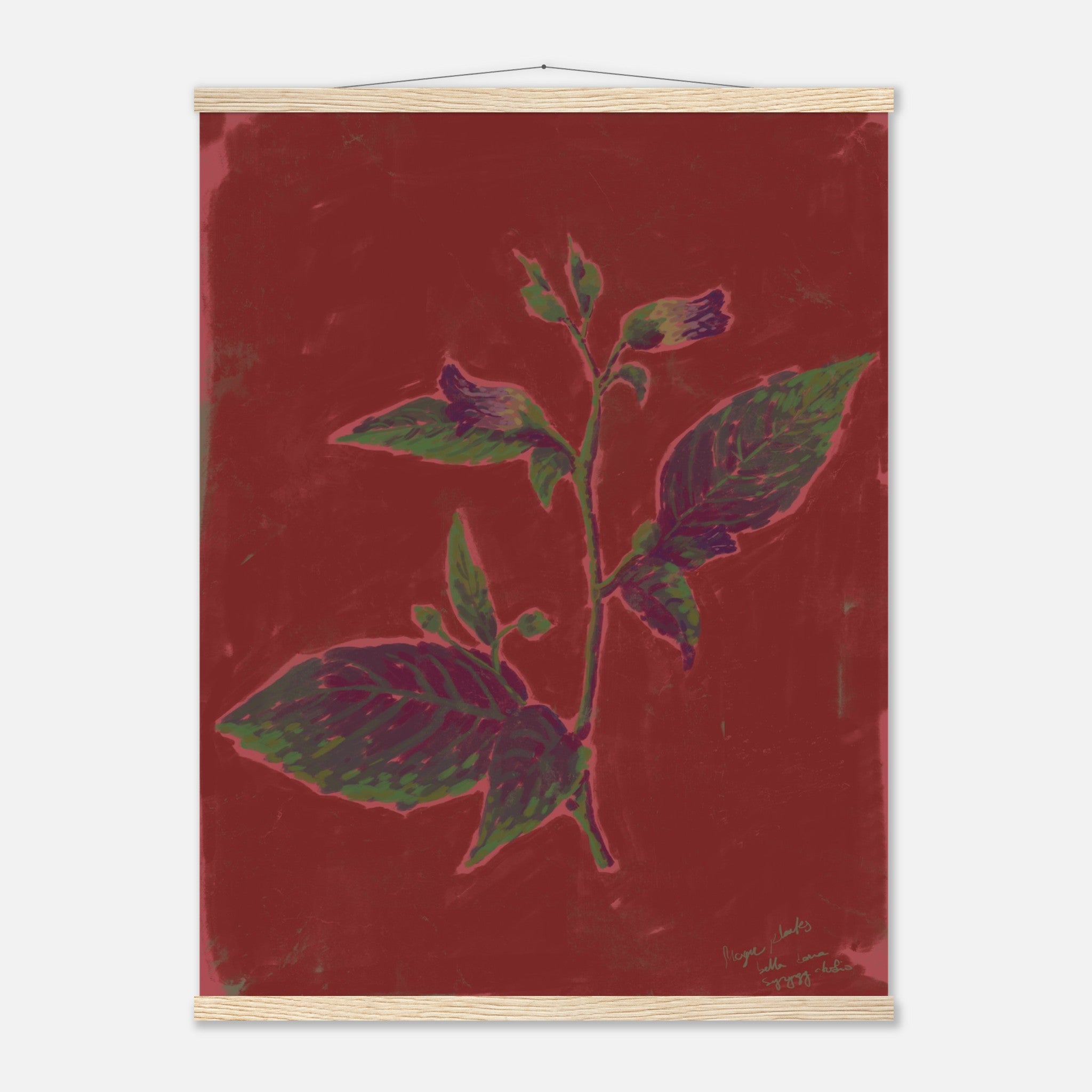 Artistic depiction of a plant on a red background with a wooden magnetic frame.