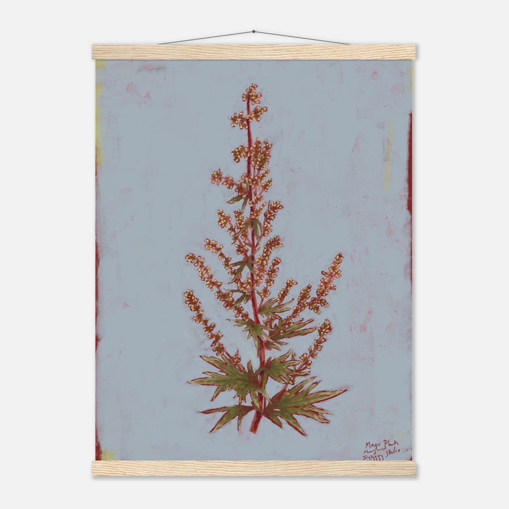 Framed botanical illustration of a plant on a light blue background