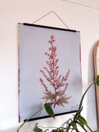 Poster of a plant design hanging on a wall with a plant in front