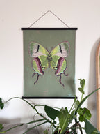 Butterfly illustration on a green background hanging on a wall with plants in the foreground.