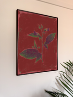 Framed artwork of a plant on a red background, leaning against a white wall with a plant in the foreground.