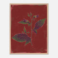 Framed artwork of a plant on a red background