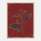 Framed artwork of a plant on a red background