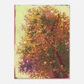 Unframed Art print Afternoon light through the leaves