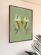 Framed artwork of a green butterfly on a light green background