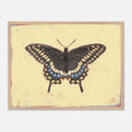 Framed artwork of a butterfly on a yellow background