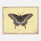 Framed artwork of a butterfly on a yellow background