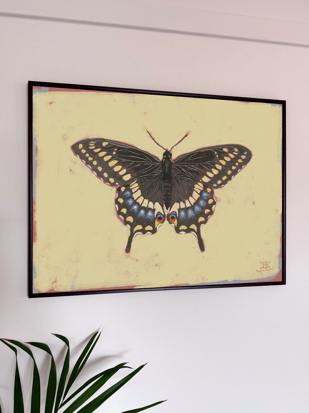 Framed butterfly artwork on a white wall with a plant in the foreground.