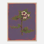 Framed artwork of a floral design on a purple background