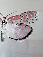 Framed Art print Pink Butterfly