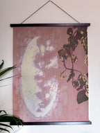 Wall art with plant design and moon-like shape reflection on a pink background