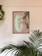 Framed artwork on a wall with plants in the foreground