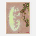 Framed artwork with a mirror reflection and leaves on a pink background