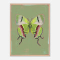 Framed artwork of a green butterfly on a green background
