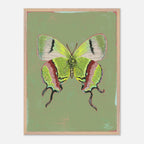 Framed artwork of a green butterfly on a green background