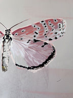 Impressionistic art print of a pink butterfly with beige textured background, detailed close up