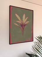 Framed botanical art of a sage leaf on a wall with a plant in the corner.