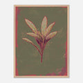 Framed artwork of a sage plant on a textured green background