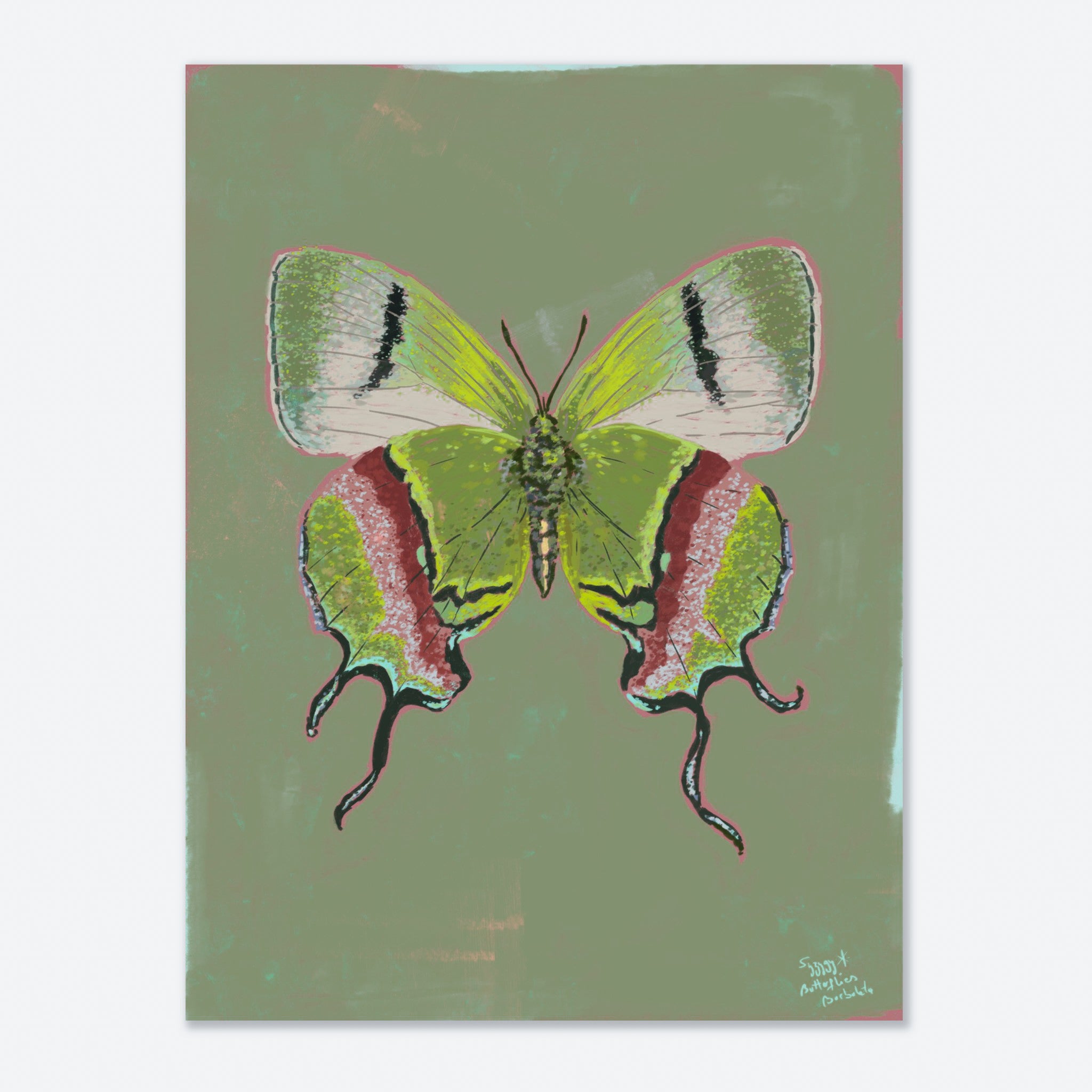 Colorful butterfly illustration on a green background
