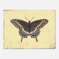 Butterfly illustration on a textured yellow background