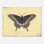 Butterfly illustration on a textured yellow background