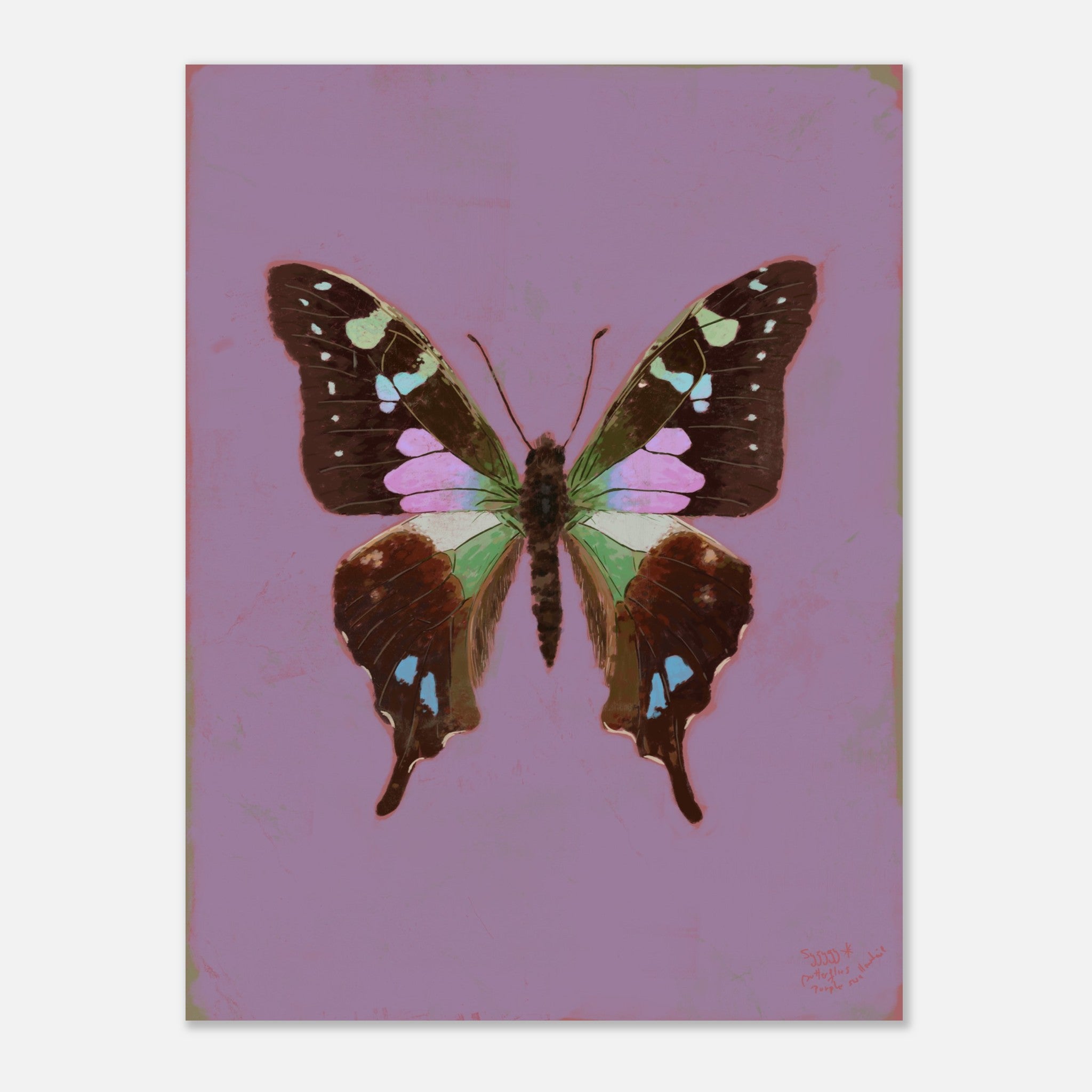 Butterfly illustration on a purple background