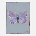 Painting of a butterfly on a textured light blue background