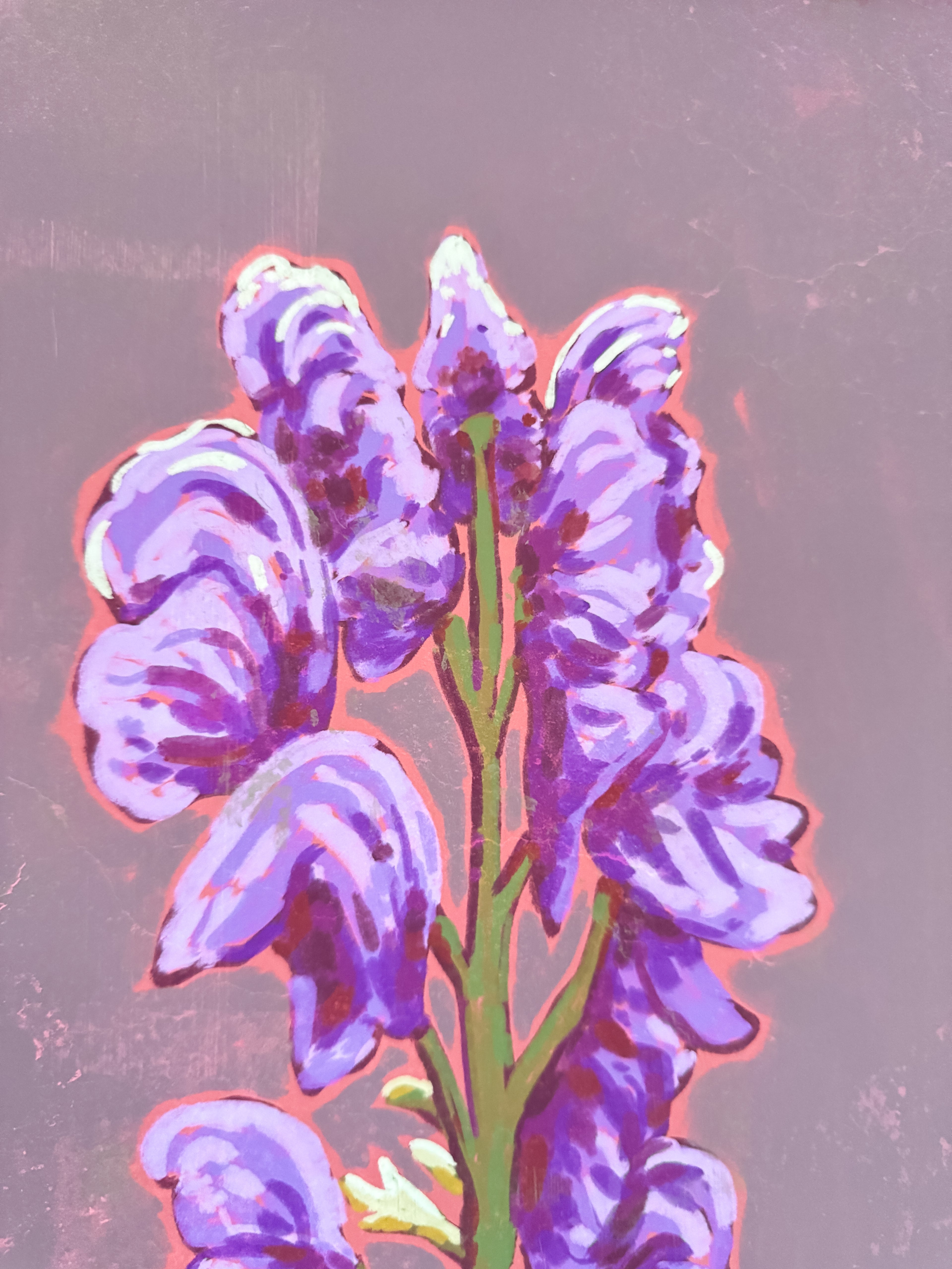 Art print with hanger Wolfsbane Magic Plants