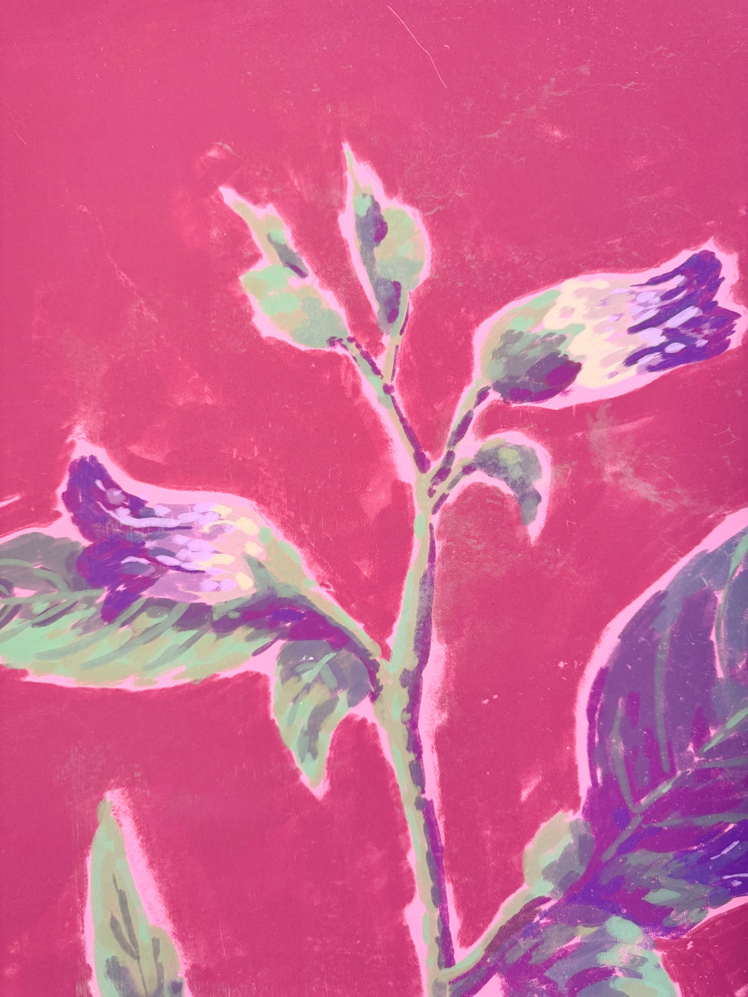 Art print with hanger Belladonna Magic Plants