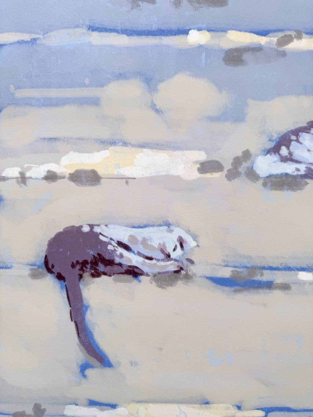art print sleeping cats detailed close up