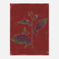 Unframed art print of a plant with green leaves and purple flowers on a red background