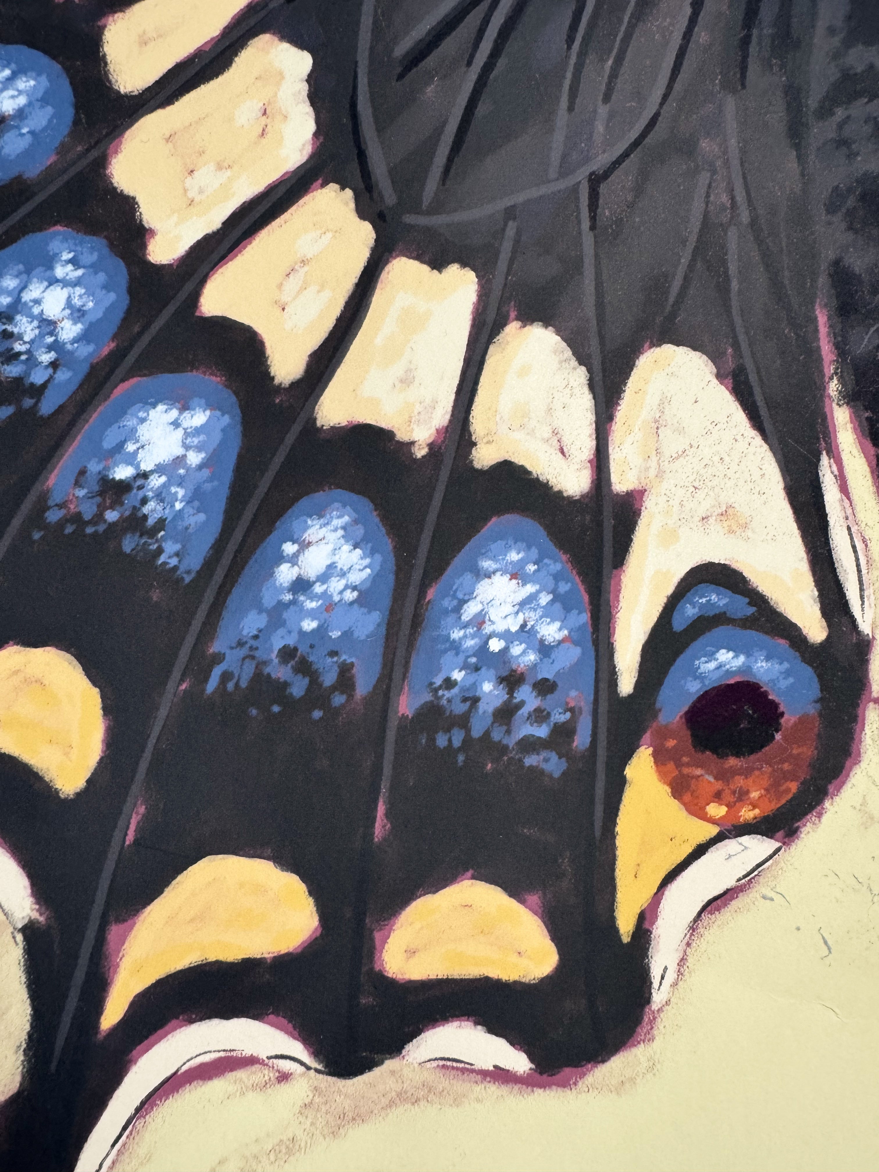 Close-up of a butterfly wing with blue, yellow, and black patterns
