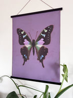 Butterfly artwork on a purple background with a plant in the foreground
