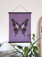 Butterfly poster on a purple background hanging on a wall with plants below.