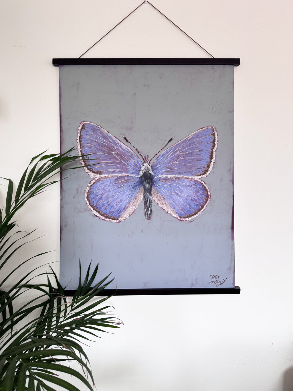 Butterfly illustration on a wall poster with a plant in the foreground