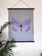 Butterfly illustration on a wall poster with a plant in the foreground
