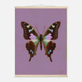 Butterfly artwork on a purple background with a wooden frame.