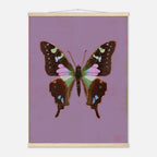 Butterfly artwork on a purple background with a wooden frame.
