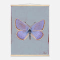 Butterfly painting on a gray background with a wooden frame