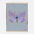 Butterfly painting on a gray background with a wooden frame